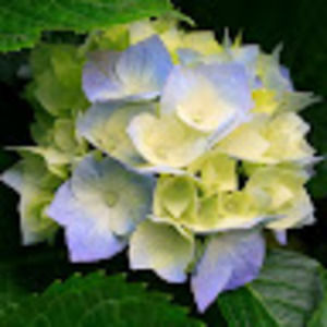 Meet your Posher, Kathryn